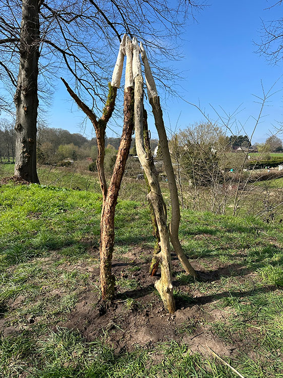 mycelium kunstwerk Wat zij niet zijn door Niamh van der Meer en Jennifer van der Wal